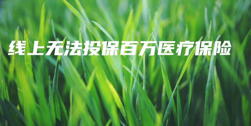 线上无法投保百万医疗保险-保点通