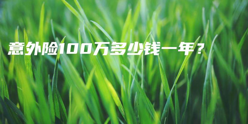 意外险100万多少钱一年？-保点通