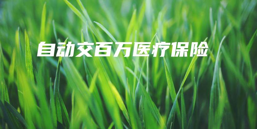 自动交百万医疗保险-保点通