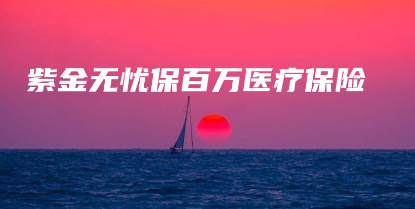 紫金无忧保百万医疗保险-保点通