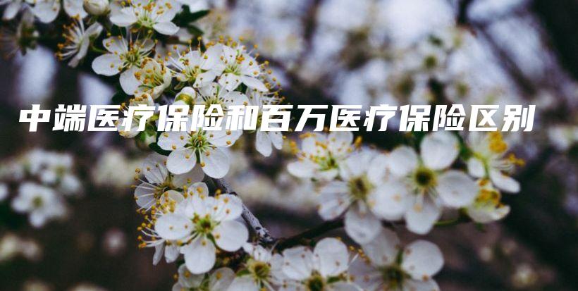 中端医疗保险和百万医疗保险区别-保点通