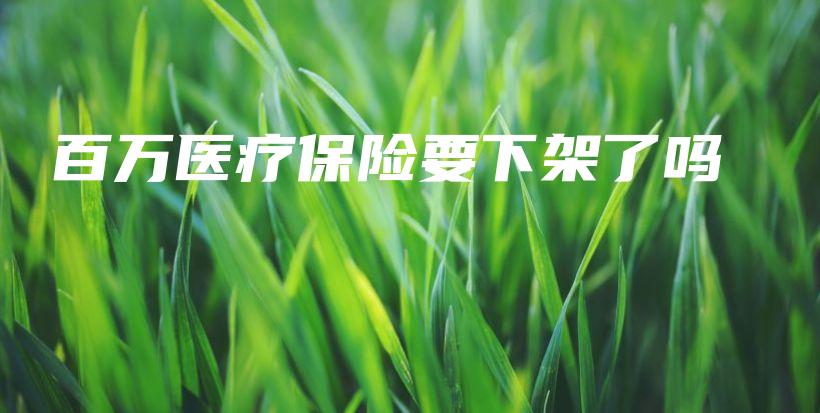 百万医疗保险要下架了吗-保点通