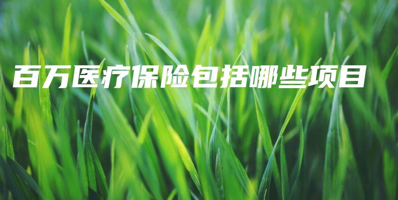 百万医疗保险包括哪些项目-保点通