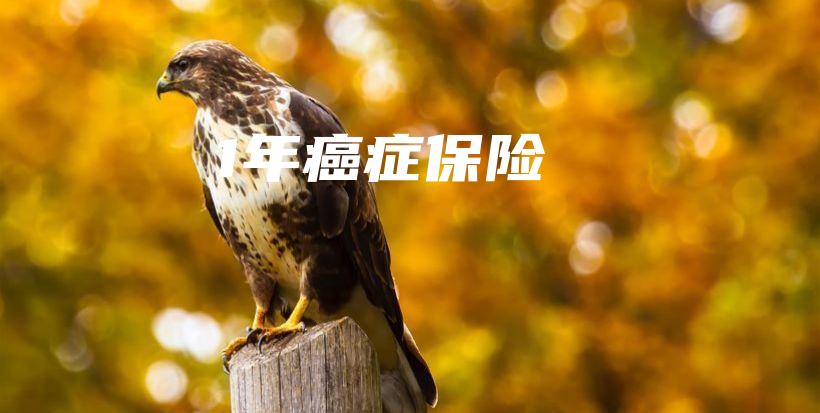 1年癌症保险-保点通