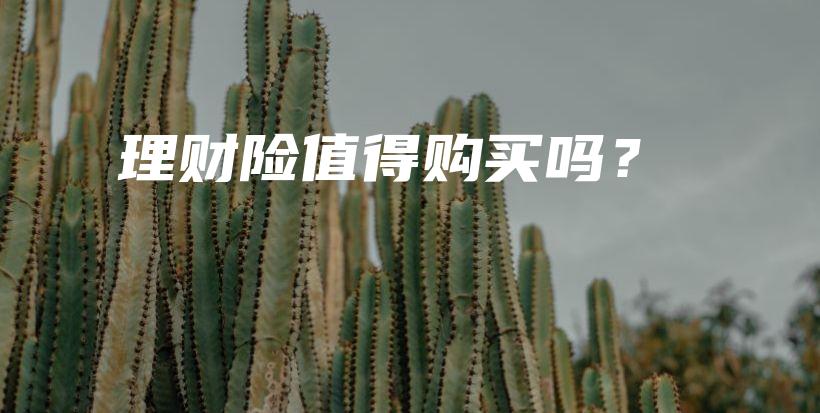 理财险值得购买吗？-保点通