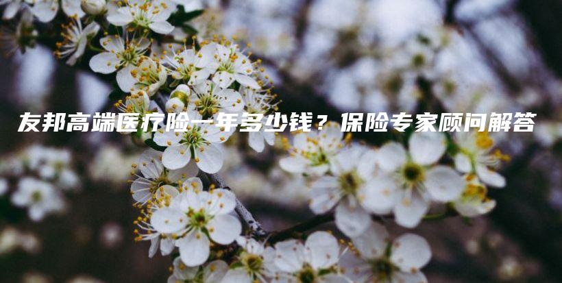 友邦高端医疗险一年多少钱？保险专家顾问解答-保点通