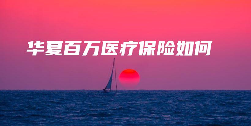 华夏百万医疗保险如何-保点通