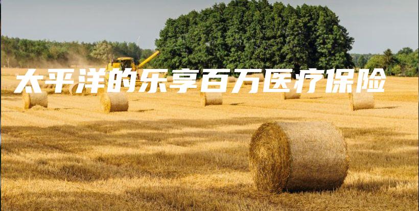 太平洋的乐享百万医疗保险-保点通