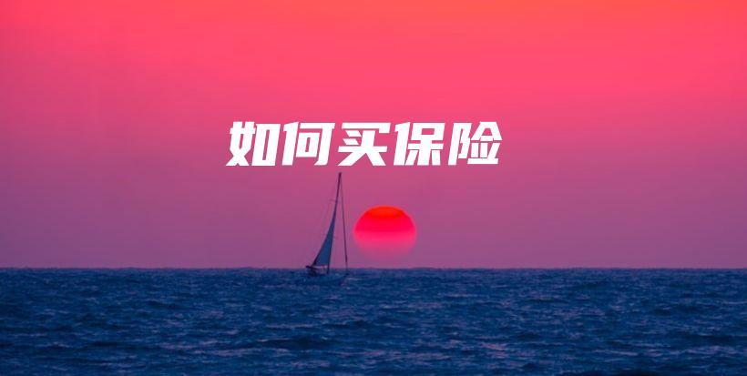 如何买保险-保点通