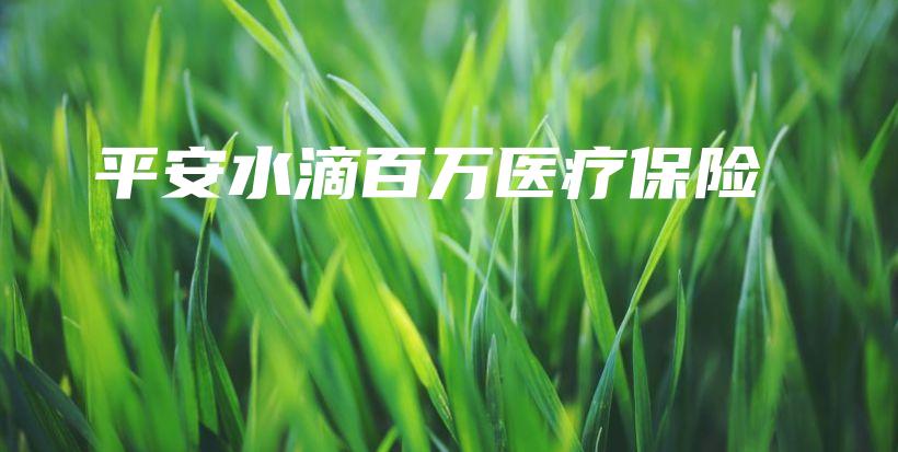 平安水滴百万医疗保险-保点通