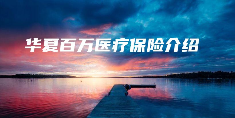 华夏百万医疗保险介绍-保点通