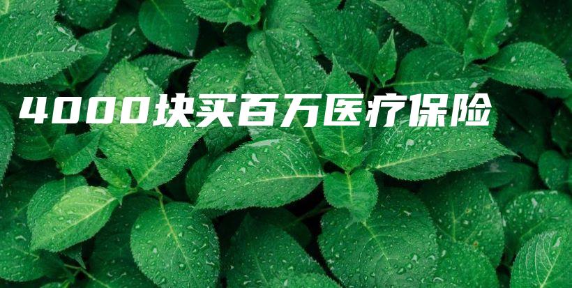 4000块买百万医疗保险-保点通