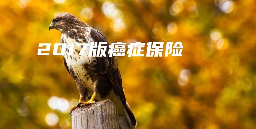 2017版癌症保险-保点通