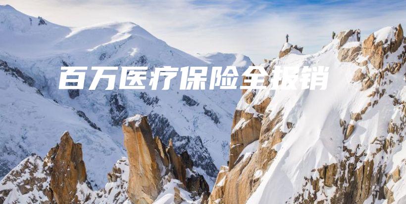 百万医疗保险全报销-保点通