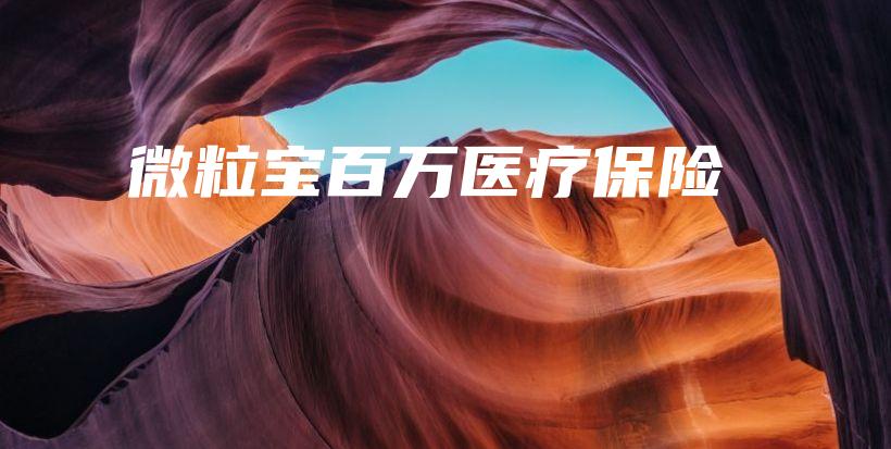 微粒宝百万医疗保险-保点通