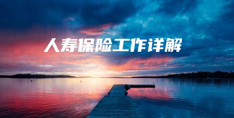 人寿保险工作详解-保点通