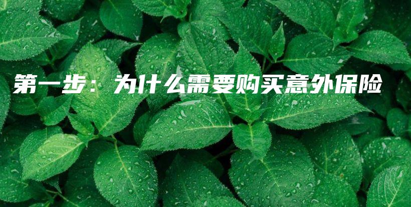 第一步：为什么需要购买意外保险-保点通