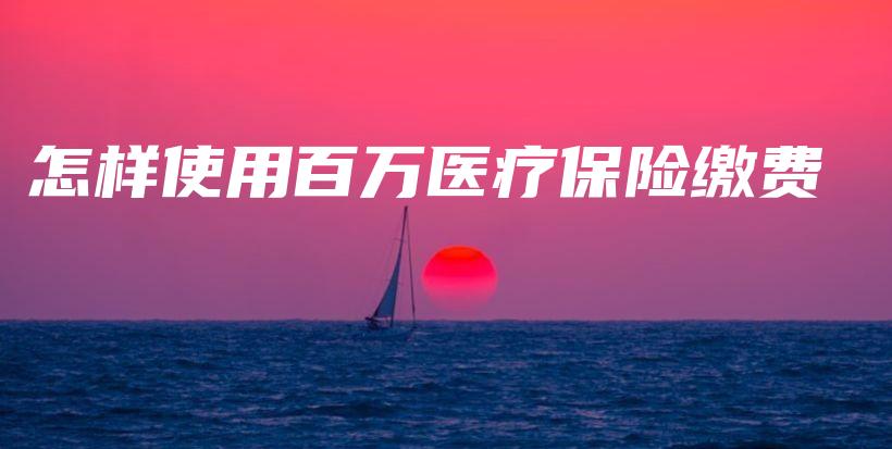 怎样使用百万医疗保险缴费-保点通
