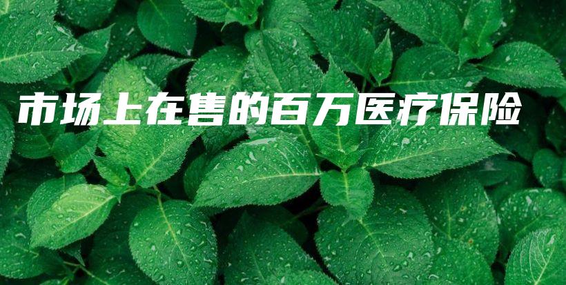市场上在售的百万医疗保险-保点通