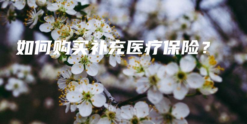 如何购买补充医疗保险？-保点通