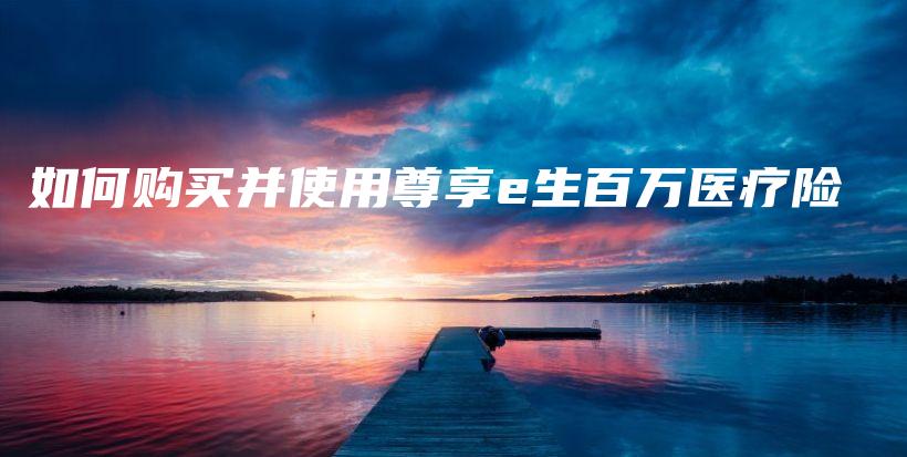 如何购买并使用尊享e生百万医疗险-保点通