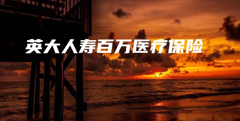 英大人寿百万医疗保险-保点通
