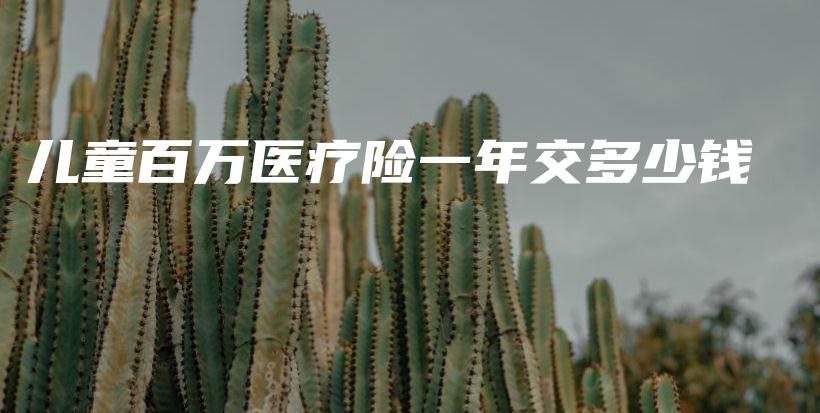 儿童百万医疗险一年交多少钱-保点通