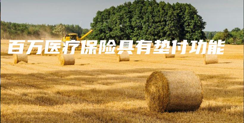 百万医疗保险具有垫付功能-保点通