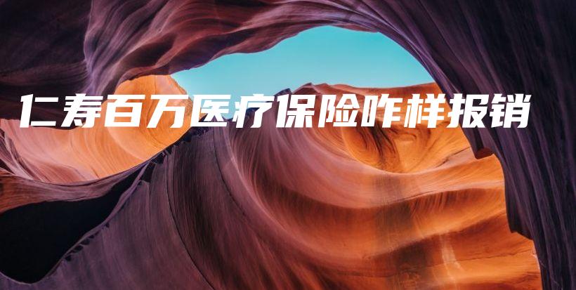 仁寿百万医疗保险咋样报销-保点通