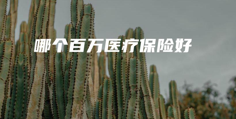 哪个百万医疗保险好-保点通