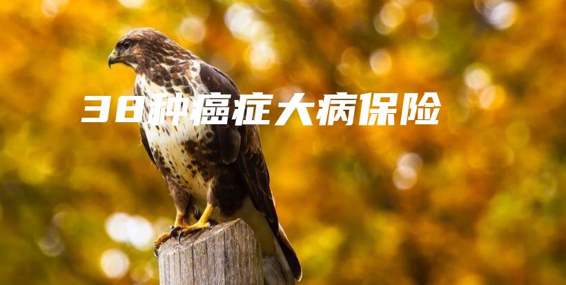 38种癌症大病保险-保点通