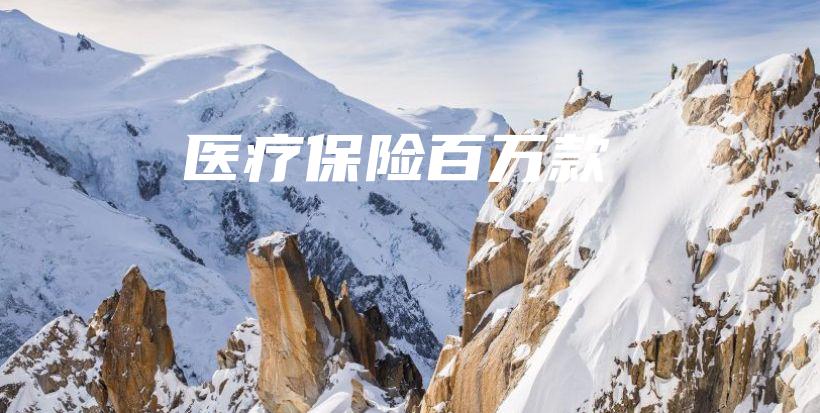 医疗保险百万款-保点通