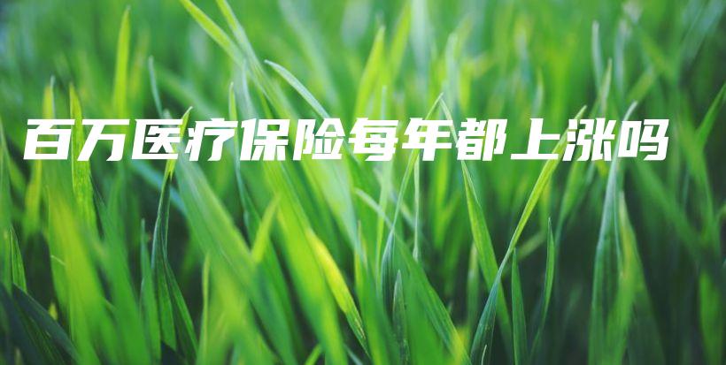 百万医疗保险每年都上涨吗-保点通
