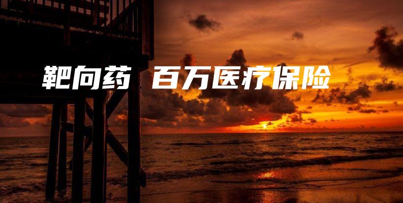 靶向药 百万医疗保险-保点通