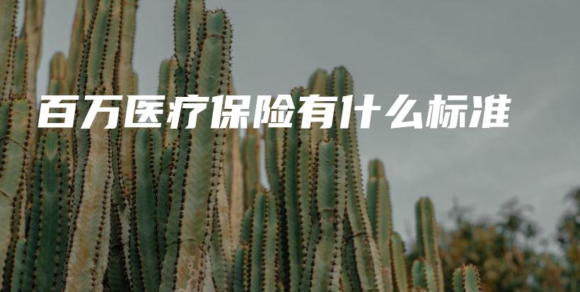 百万医疗保险有什么标准-保点通