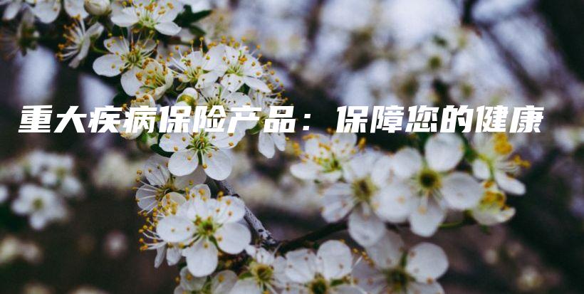 重大疾病保险产品：保障您的健康-保点通