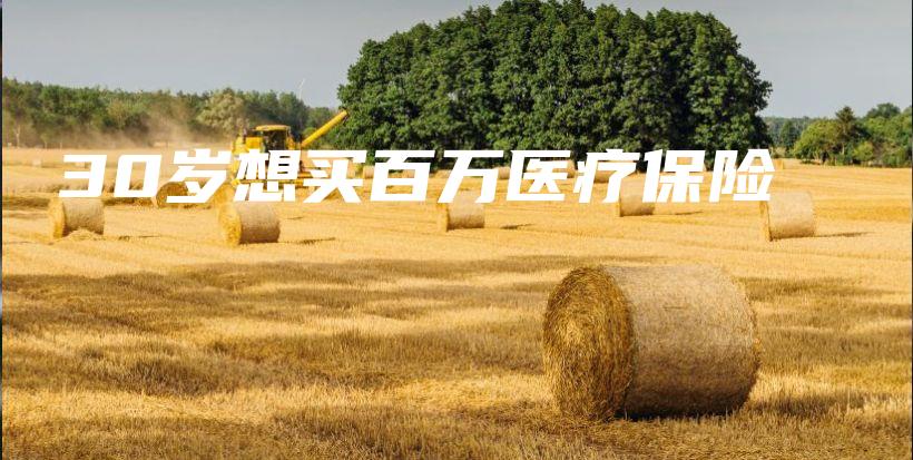 30岁想买百万医疗保险-保点通