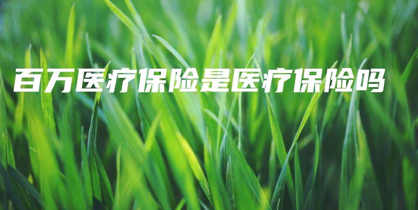 百万医疗保险是医疗保险吗-保点通