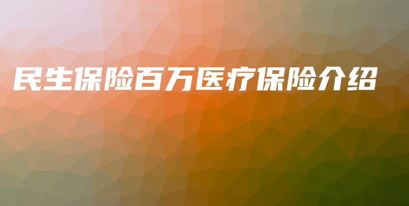 民生保险百万医疗保险介绍-保点通