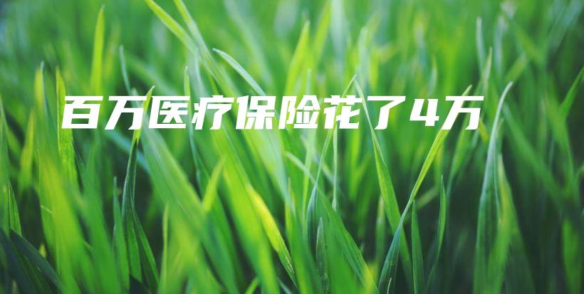 百万医疗保险花了4万-保点通