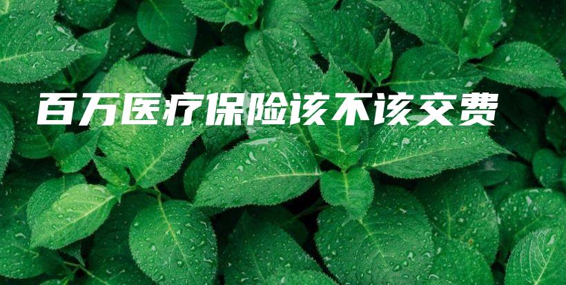 百万医疗保险该不该交费-保点通