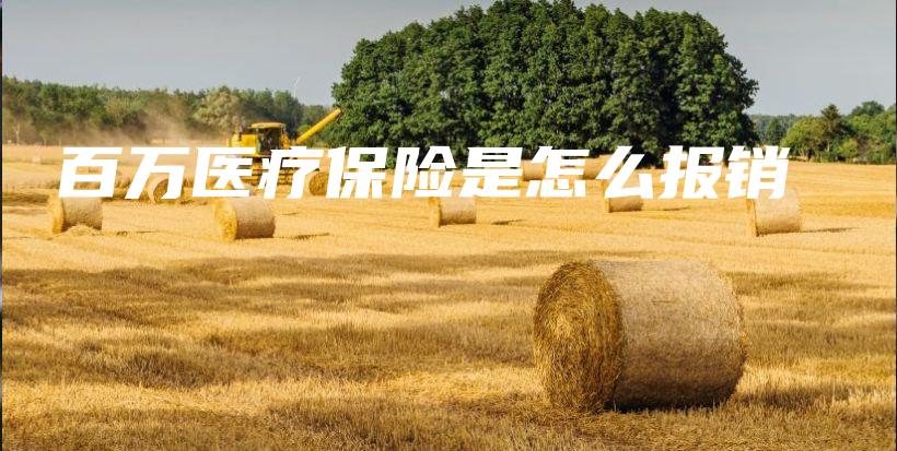 百万医疗保险是怎么报销-保点通