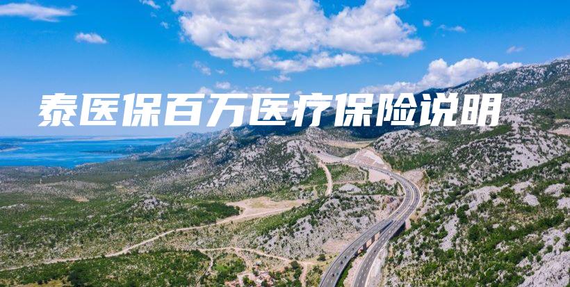泰医保百万医疗保险说明-保点通