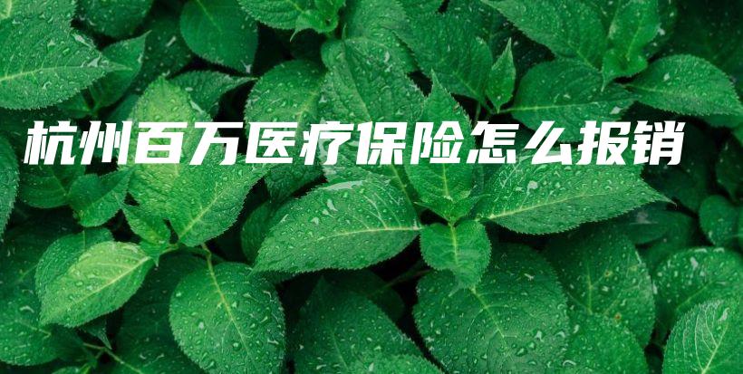 杭州百万医疗保险怎么报销-保点通