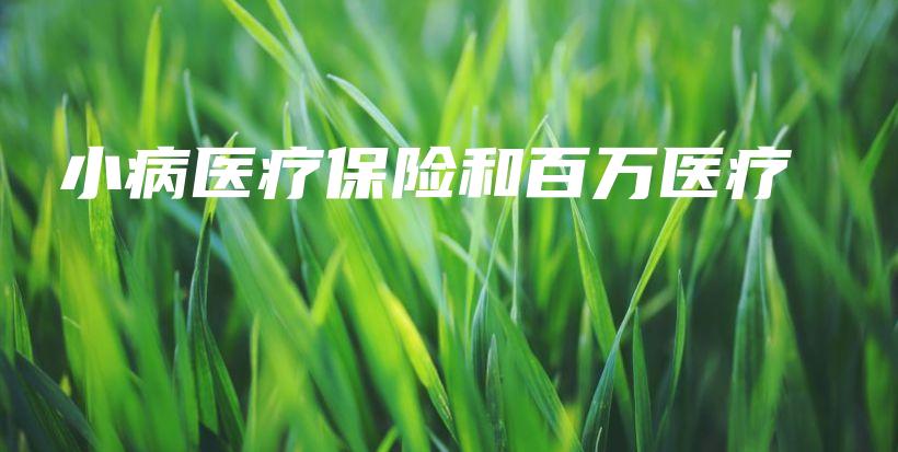 小病医疗保险和百万医疗-保点通
