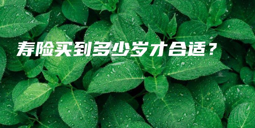 寿险买到多少岁才合适？-保点通