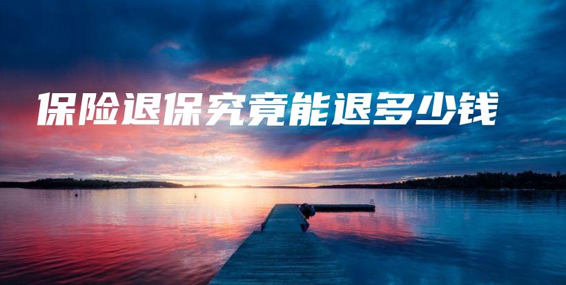 保险退保究竟能退多少钱-保点通