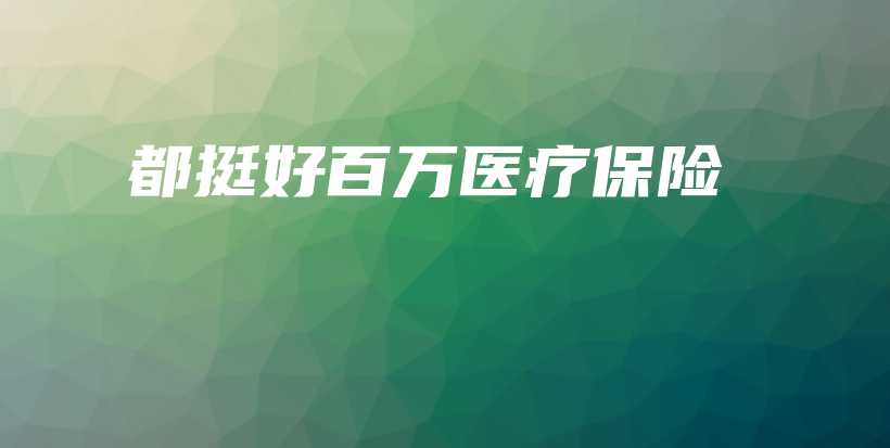 都挺好百万医疗保险-保点通
