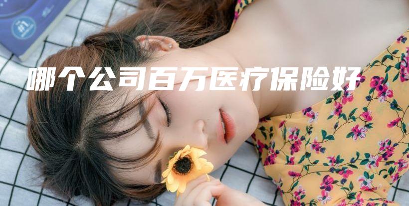 哪个公司百万医疗保险好-保点通