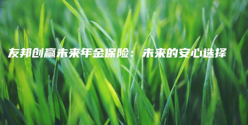 友邦创赢未来年金保险：未来的安心选择-保点通